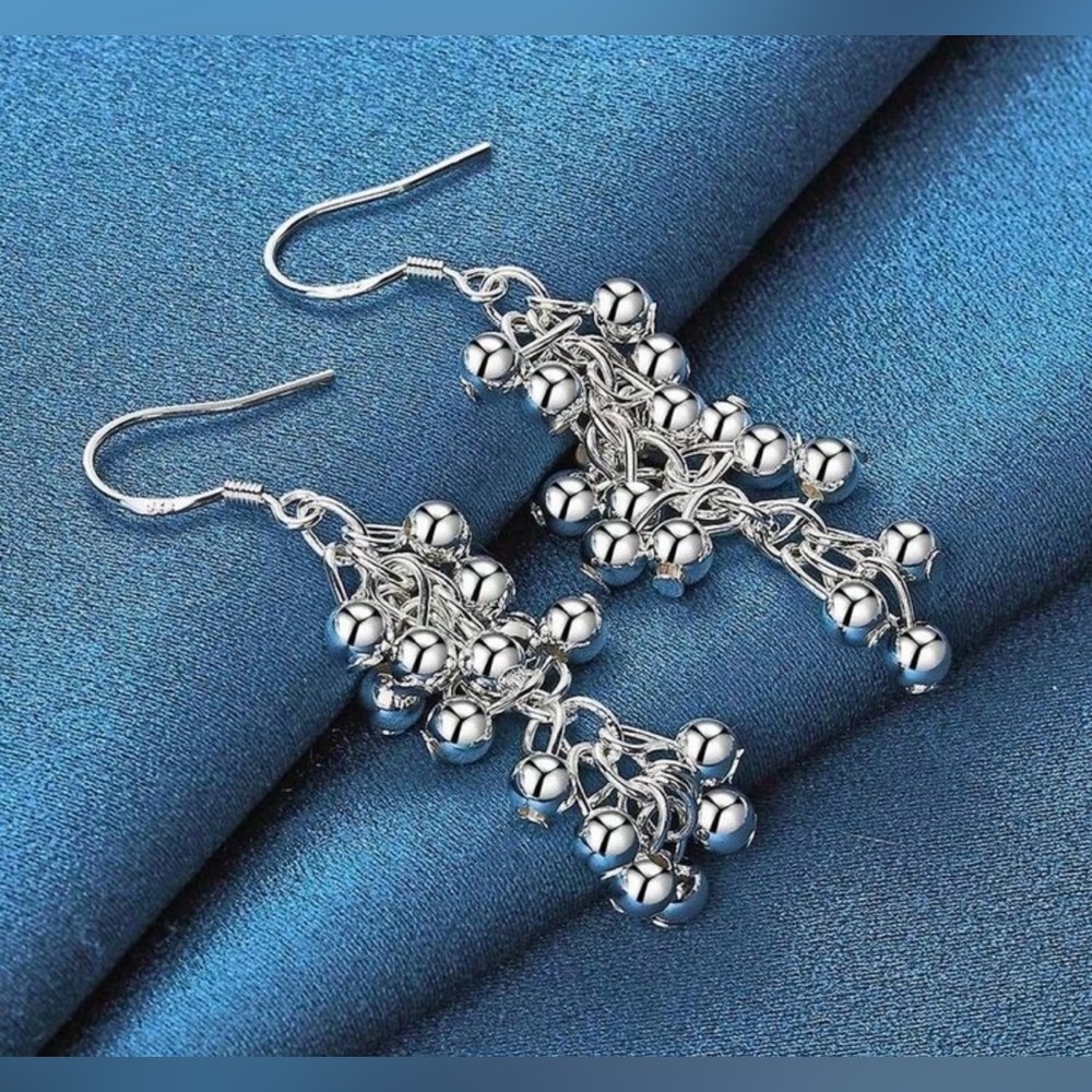 Nwt S925 Elegant Silver Dangle Earrings